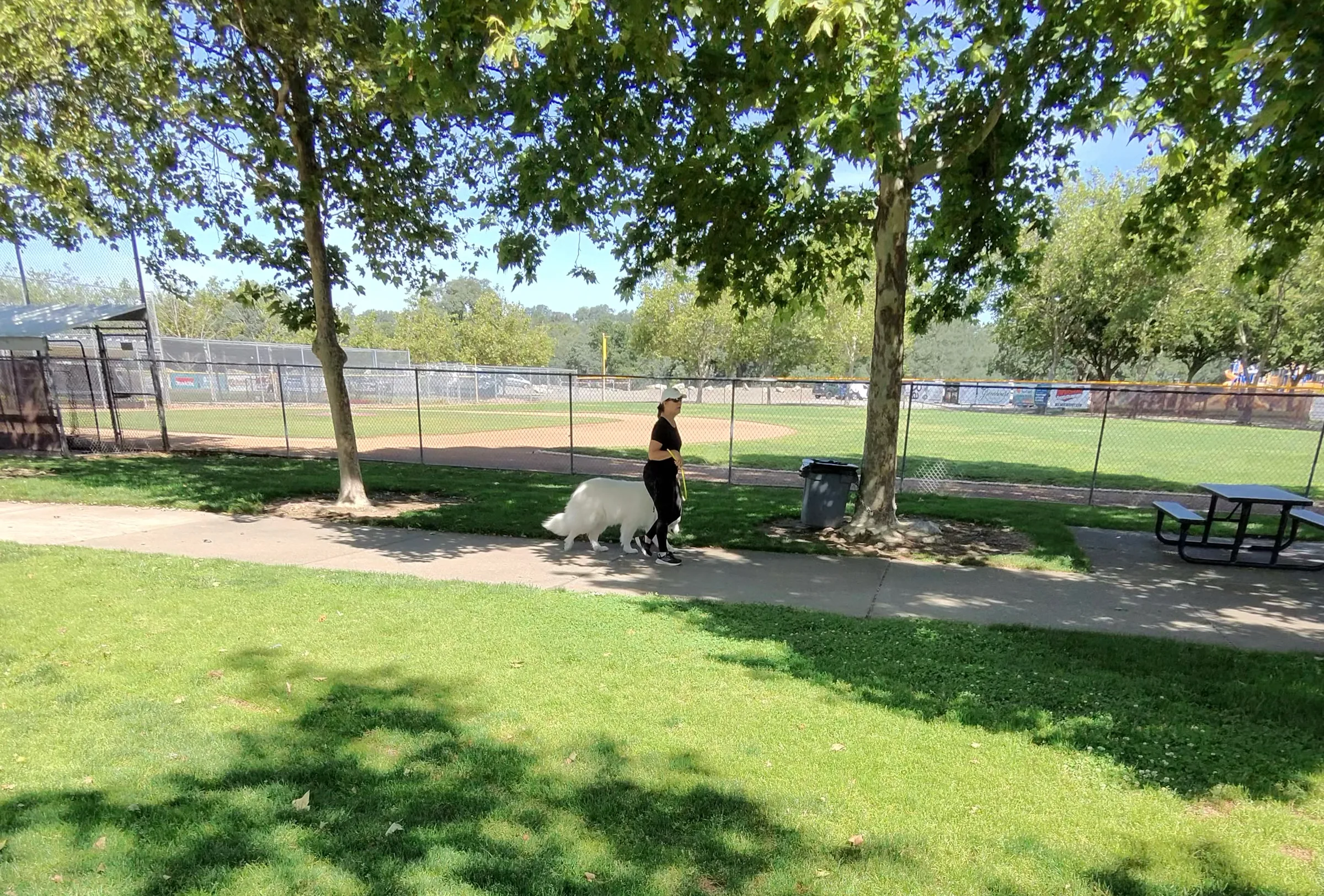 Dog trainer walking a white dog on a leash at a park near baseball fields.