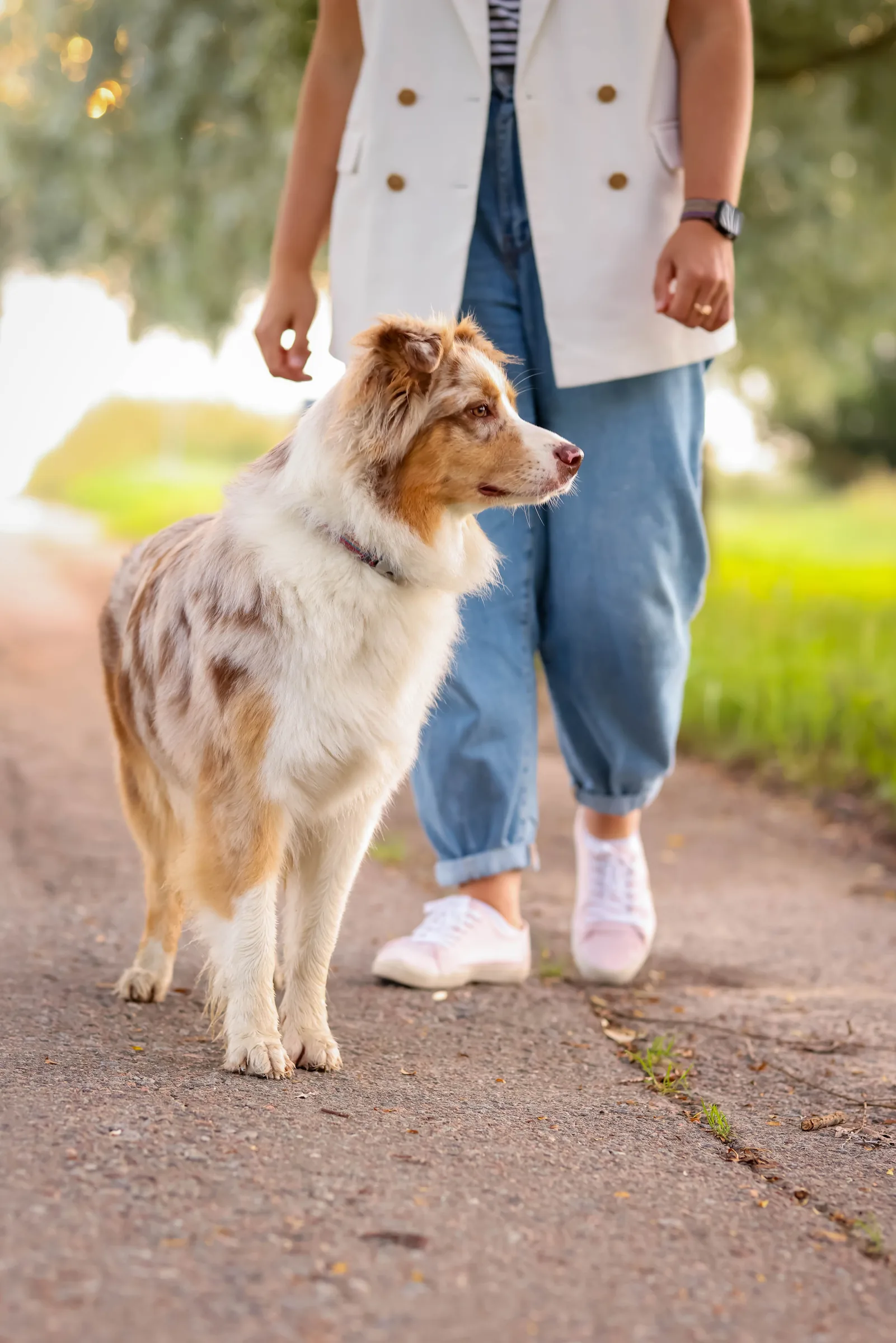 Woman in white vest walking brown and white dog on a path outdoors.